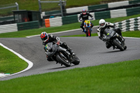 cadwell-no-limits-trackday;cadwell-park;cadwell-park-photographs;cadwell-trackday-photographs;enduro-digital-images;event-digital-images;eventdigitalimages;no-limits-trackdays;peter-wileman-photography;racing-digital-images;trackday-digital-images;trackday-photos